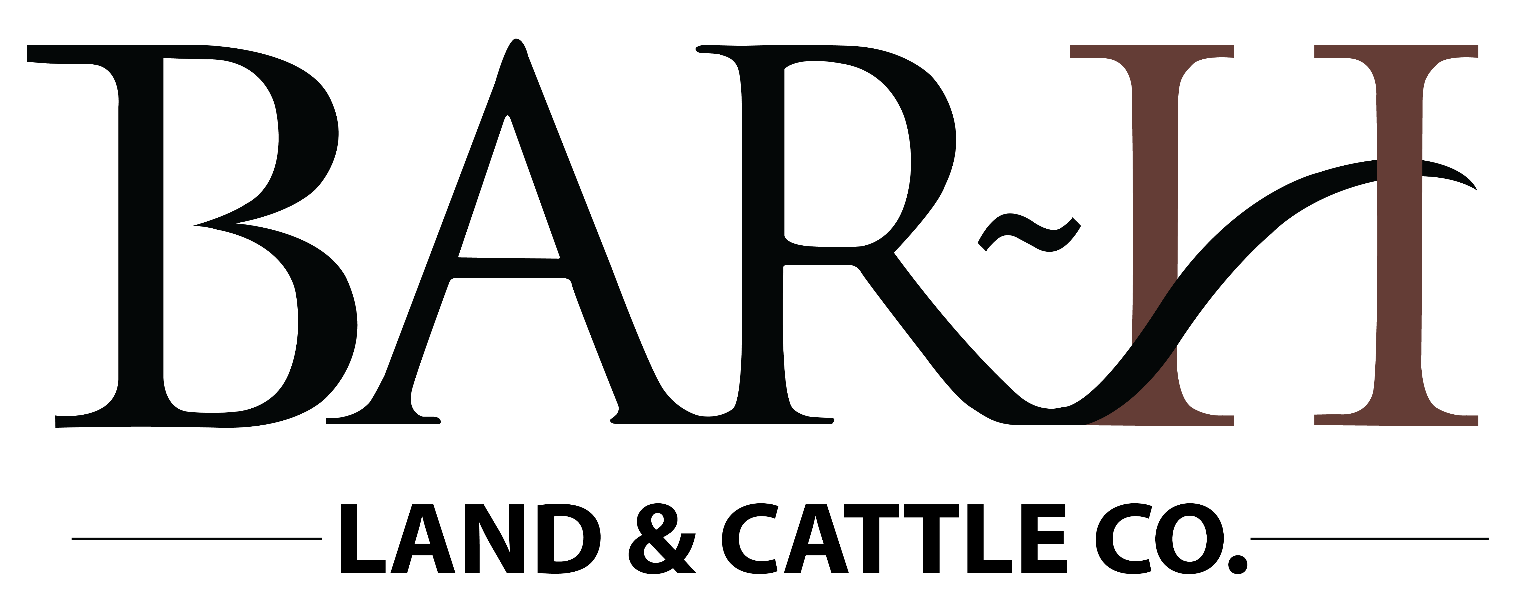 Bar H Logo