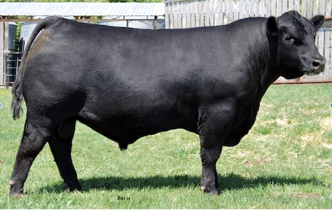 sire10